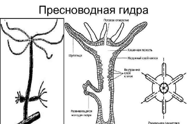 Где можно найти даркнет